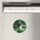 Aimant Facteur 184 (In Situ (Lave-vaisselle))