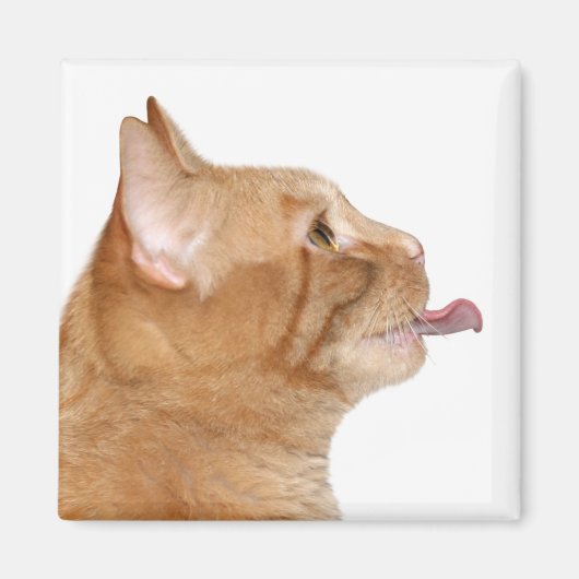 Aimant Faim (Devant)