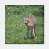 Aimant Faire face (Devant)