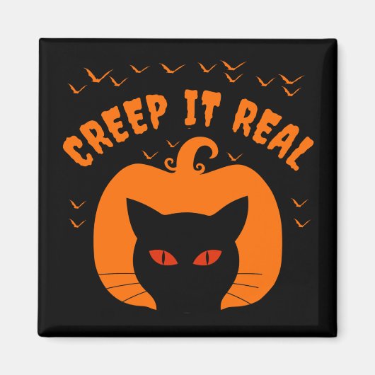 AIMANT FAIRE LE FOU DRÔLE CHAT HALLOWEEN (Devant)