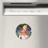 Aimant Fairy FAE (In Situ (Lave-vaisselle))