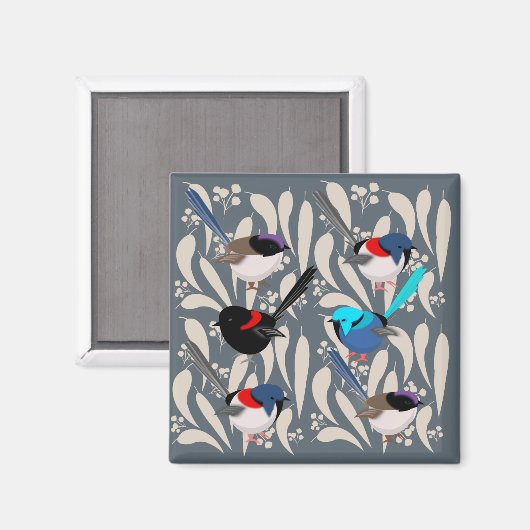 Aimant Fairy Wrens (Recto/Verso)