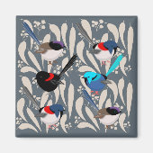 Aimant Fairy Wrens (Devant)