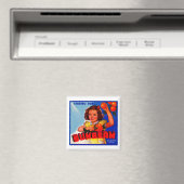 Aimant Faisceau (In Situ (Lave-vaisselle))