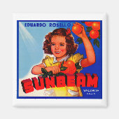 Aimant Faisceau (Devant)