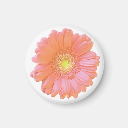 Aimant Faisée de gerbera orange (Devant)