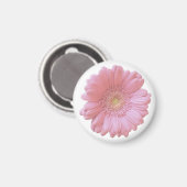 Aimant Faisée de gerbera rose pâle (Recto/Verso)