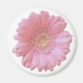 Aimant Faisée de gerbera rose pâle (Devant)