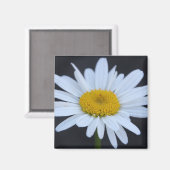 Aimant Faisée d'hiver (Recto/Verso)