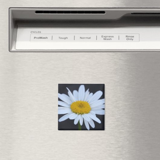 Aimant Faisée d'hiver (In Situ (Lave-vaisselle))