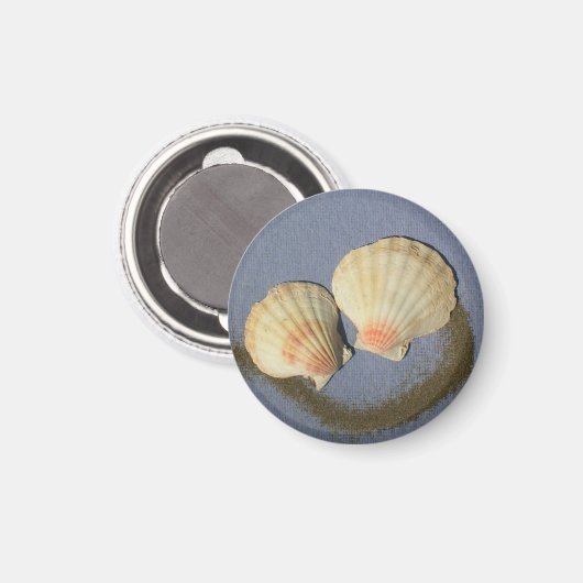 Aimant " Faites Votre Propre Aimant- Coques De Plage (Recto/Verso)