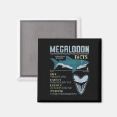 Aimant Faits sur le Mégalodon Dent de Requin Préhistoriqu (Recto/Verso)