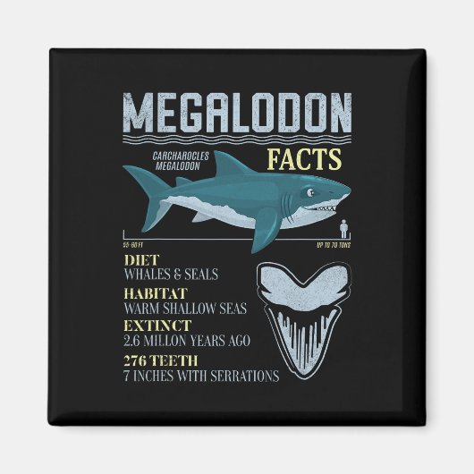Aimant Faits sur le Mégalodon Dent de Requin Préhistoriqu (Devant)