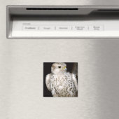Aimant Falcon (In Situ (Lave-vaisselle))