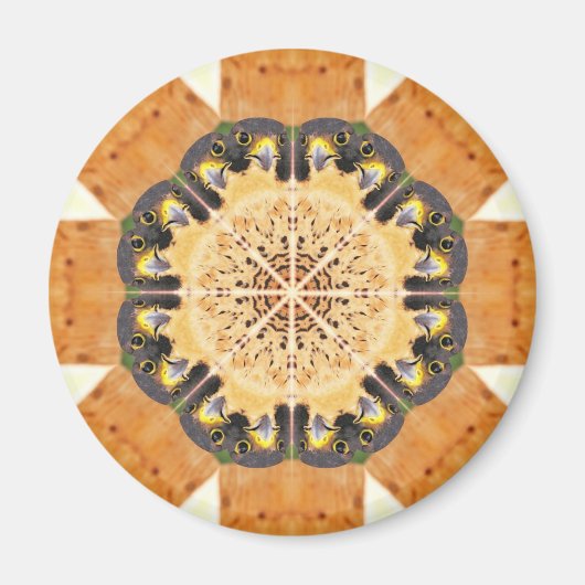 Aimant Falcon pèlerin Kaleidoscope (Devant)