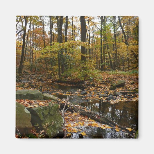 Aimant Fall Creek avec réflexion à Laurel Hill Park (Devant)