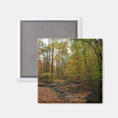 Aimant Fall Creek dans le parc national Laurel Hill State (Recto/Verso)