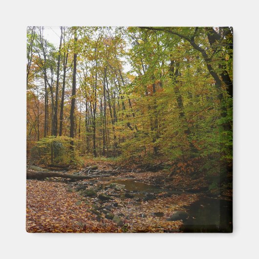 Aimant Fall Creek dans le parc national Laurel Hill State (Devant)
