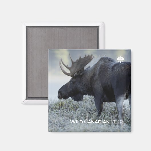 Aimant Fall - Moose (Recto/Verso)