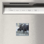 Aimant Fall - Moose (In Situ (Lave-vaisselle))