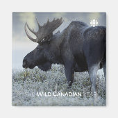 Aimant Fall - Moose (Devant)