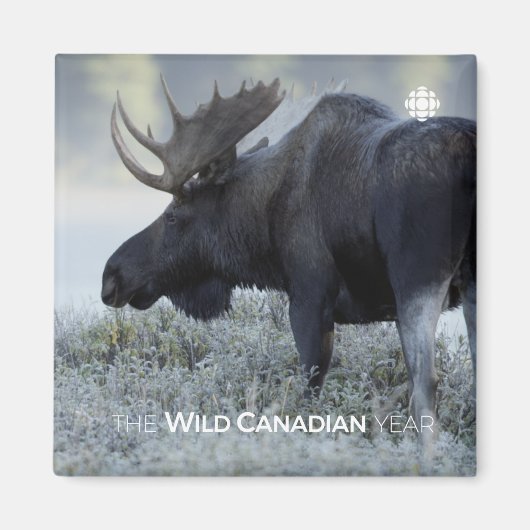 Aimant Fall - Moose (Devant)