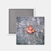 Aimant Fallen (Recto/Verso)
