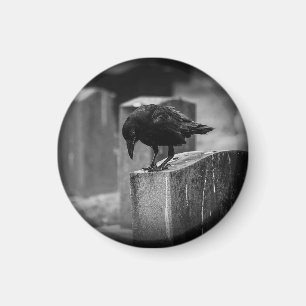 Aimant Falln Cemetery Crow