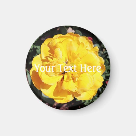 Aimant Falln Sunshine Floral (Devant)