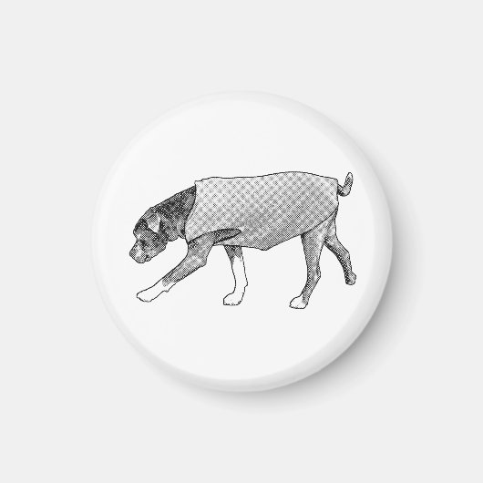 Aimant Familiar Paths Remembered (Devant)