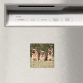 Aimant Famille allemande Sherpherd (In Situ (Lave-vaisselle))