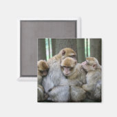 Aimant Famille Cute Ape Photo Hug (Recto/Verso)