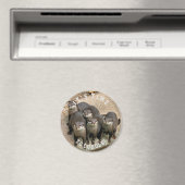 Aimant Famille Cute Otter | Temps de câblage (In Situ (Lave-vaisselle))