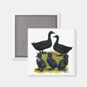 Aimant Famille de canards Cayuga (Recto/Verso)