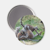 Aimant Famille de lémuriens (Recto/Verso)