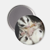 Aimant famille de planeurs à sucre avec joey (Recto/Verso)