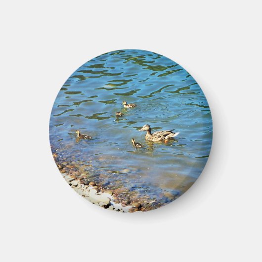 Aimant Famille des Canards (Devant)