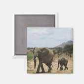 Aimant famille des éléphants (Recto/Verso)