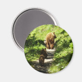 Aimant Famille d'ours brun (Recto/Verso)