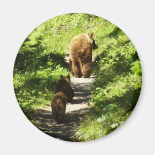 Aimant Famille d'ours brun