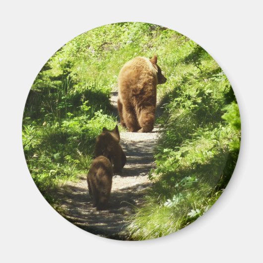 Aimant Famille d'ours brun (Devant)