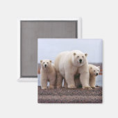 Aimant Famille d'ours polaires (Recto/Verso)