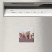 Aimant Famille d'ours polaires (In Situ (Lave-vaisselle))