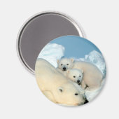 Aimant Famille d'ours polaires (Recto/Verso)