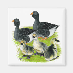 Aimant Famille Toulouse Goose