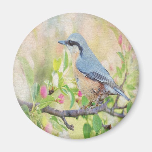 Aimant Fanatique d'oiseaux (Devant)