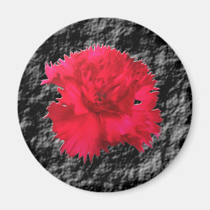 Aimant Fantaisie Florale Œillet Rouge