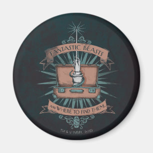 AIMANT FANTASTIQUE BEASTS ET WHERE TO FIND THEM™