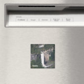 Aimant Fantastique Yosemite Magnet! (In Situ (Lave-vaisselle))