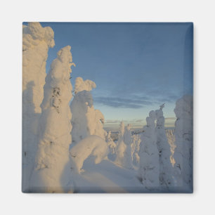 Aimant Fantômes de neige au coucher du soleil à Whitefish